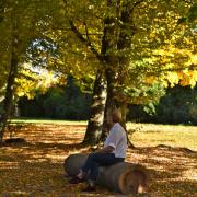 Lieu propice à la méditation