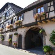 Maisons typiques de vignerons décorées de géraniums