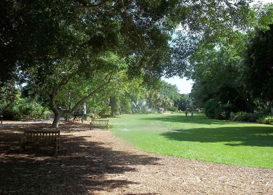 Marie Selby Botanical Gardens, un havre de sérénité