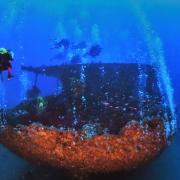 Mer méditerranée epave de l'Amoco Milford Haven au large de Gènes