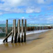 Piquets d'expérimentation pour la protection des plages