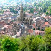 Thann et sa collégiale vus depuis le château