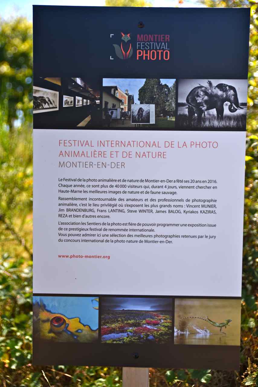 Panneau de présention des photos du festival international de Montier-En-Der
