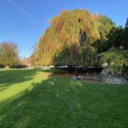 Parc du Champ de Mars. A gauche, le kiosque à musique, à droite un hêtre pleureur