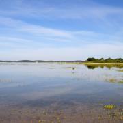 Paysage reposant incitant à la méditation