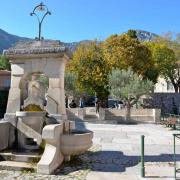 Place de la République, la fontaine et l'orme planté en 1713