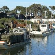 Port ostréicole creusé dans les anciens réservoirs à poissons