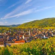 Le village de Riquewihr, vu depuis le vignoble 