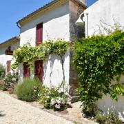 Toutes les ruelles sont bordées de parterres fleuris