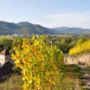 Turckheim et la vallée de Munster