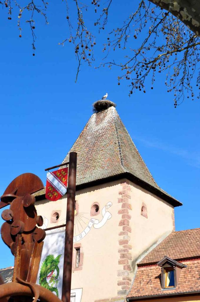 Turckheim, le veilleur de nuit surveille le nid sur la Porte de France