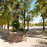 Un des puits de la place d'armes