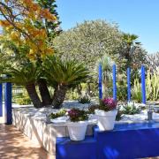 ...un jardin connu dans le monde entier : les jardins de Majorelle au Maroc