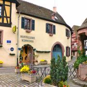 Un puits devant la maison vigneronne