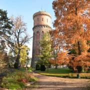 Un magnifique séquoia et l'ancien château d'eau