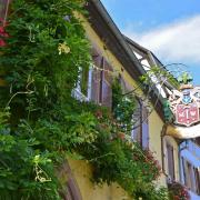 Une belle façade fleurie et...