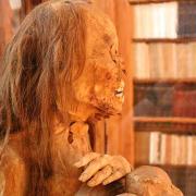 Une momie péruvienne du XVI° siècle