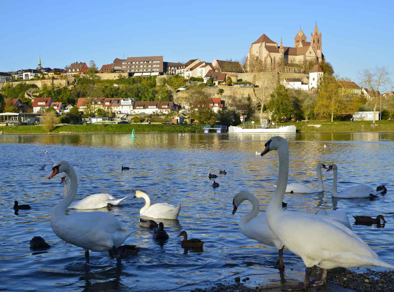 Breisach am Rhein, Allemagne