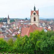 Vue sur Endingen depuis le vignoble