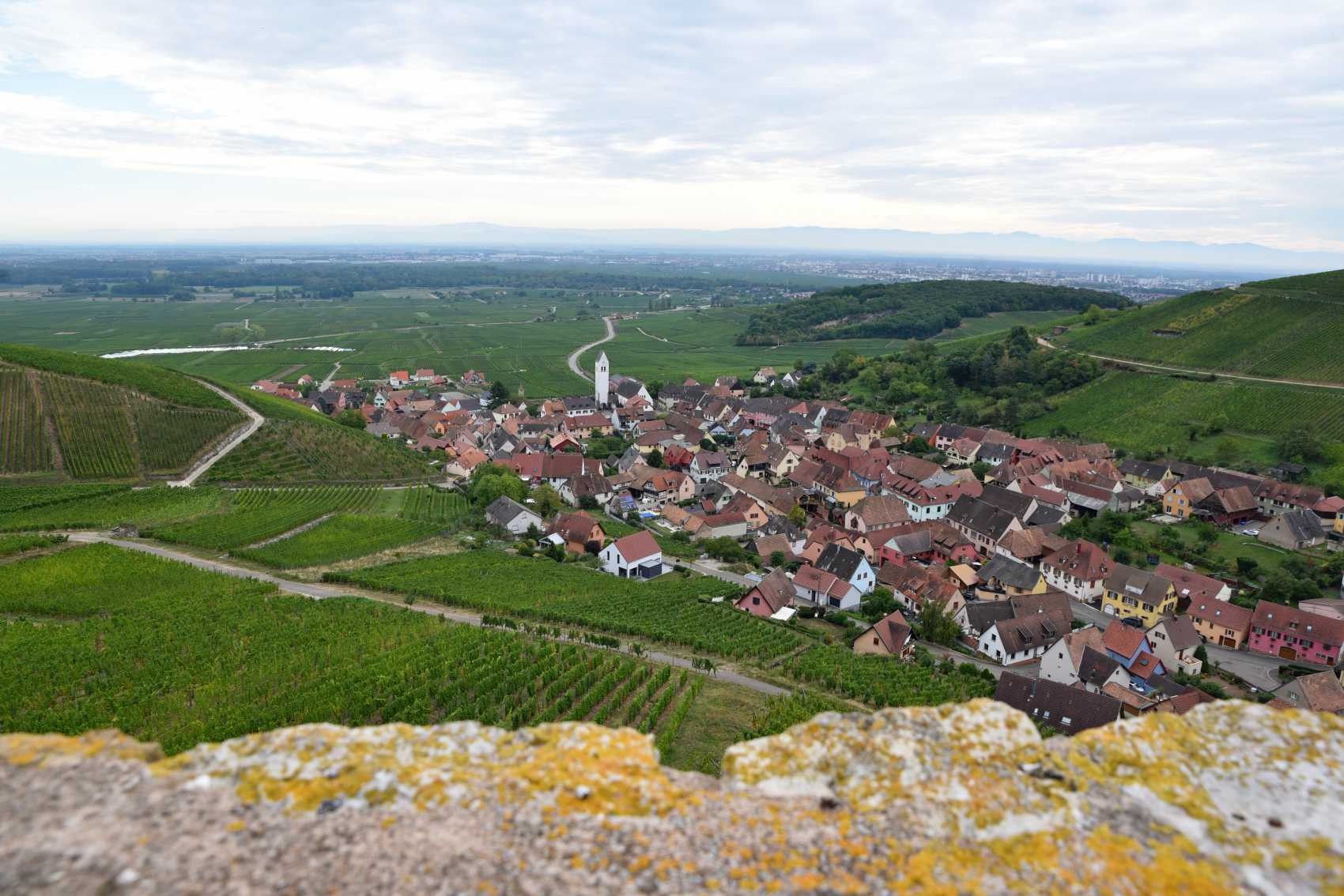 Vue sur la plaine d'Alsace et du village Katzenthal depuis le sommet du donjon