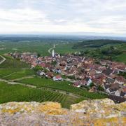 Vue sur la plaine d'Alsace et du village Katzenthal depuis le sommet du donjon